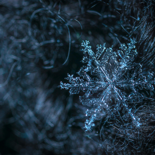 Sugar Dusted Snowflake Wax Melt